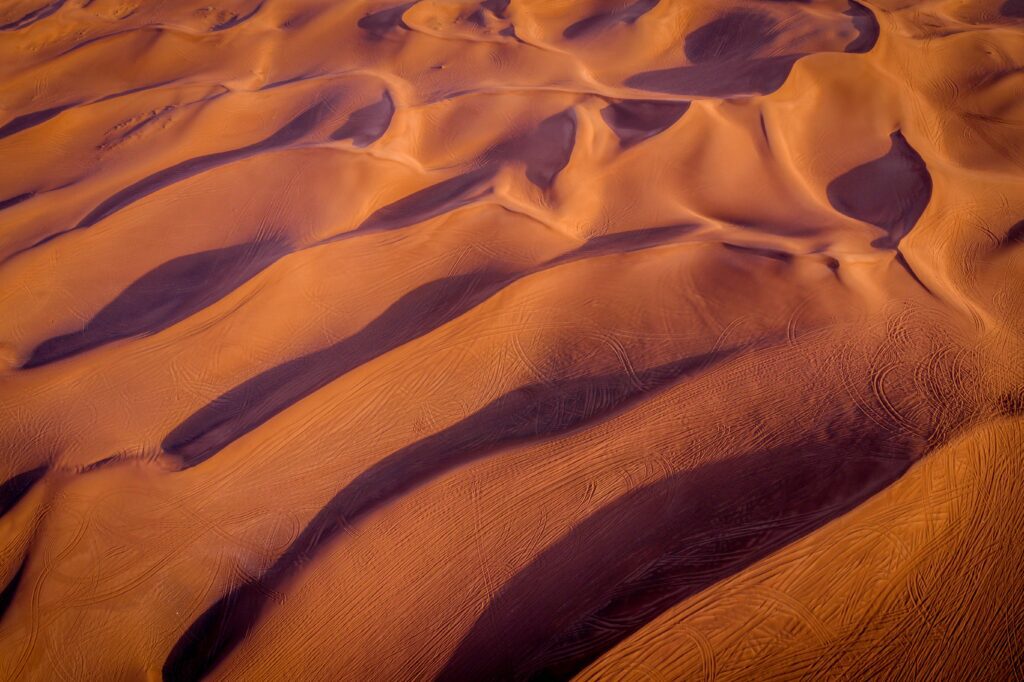 Camel safari in Rajasthan during sunset over the Thar Desert