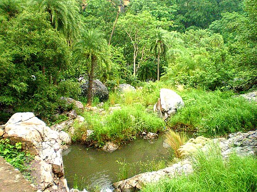 Sariska Tiger Reserve: 7 Amazing Facts About This Wildlife Sanctuary