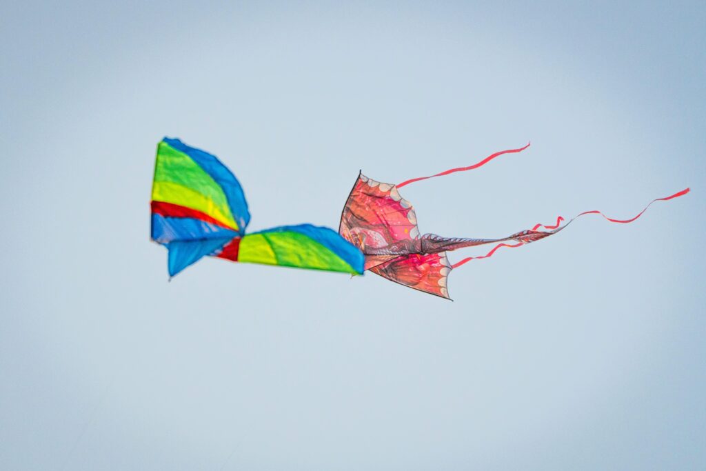 Kite Festival: 7 Exciting Facts About Makar Sankranti Celebration