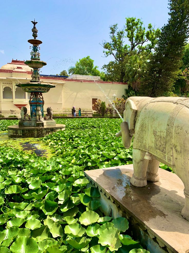 Saheliyon Ki Bari: 7 Amazing Riverside Garden Facts