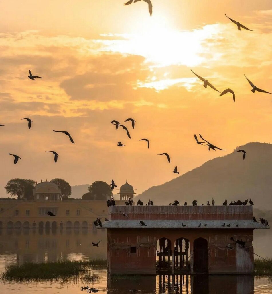 Jal Mahal: 7 Amazing Facts About This Tourist Palace