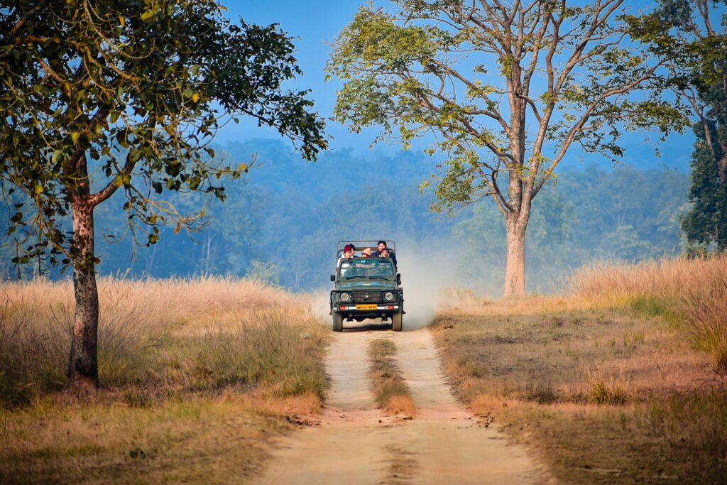 Sawai Madhopur: 7 Amazing Ranthambore National Park Wildlife Safari