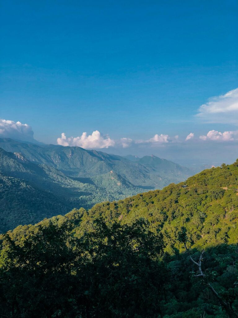 Mukundra Hills: 7 Amazing Secrets of This National Park